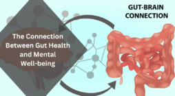 The Connection Between Gut Health and Mental Well-being